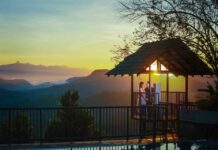 Studio Life of Image